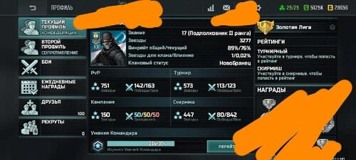 Аккаунт Конфедерация (17 ранг)